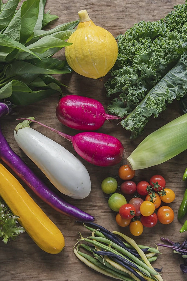 お試し 旬の野菜ぼっくす